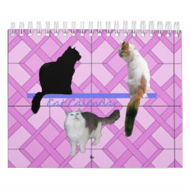 Kalender - Katzen