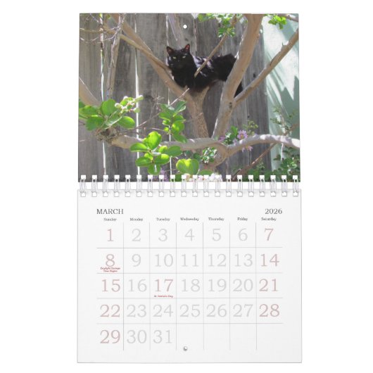 Kalender - Katzen (Mär 2026)