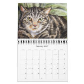 Kalender-Katzen 2011 Kalender (Jan 2027)