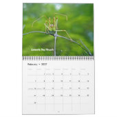 Kalender - Keine Respektfehler (Feb 2027)