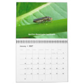 Kalender - Keine Respektfehler (Jan 2027)