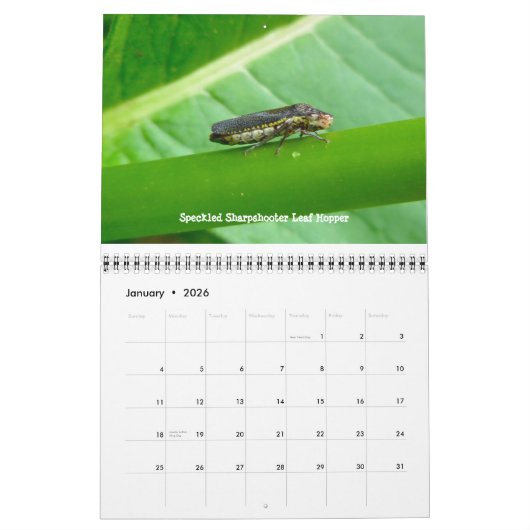 Kalender - Keine Respektfehler (Jan 2026)