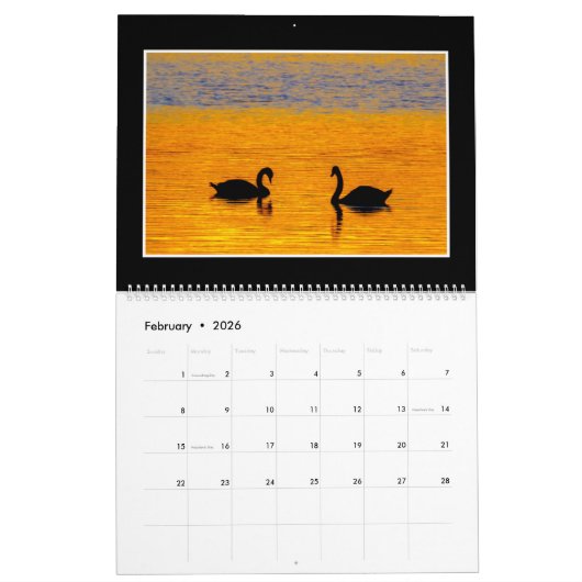 Kalender Kiser See-St.-Park-2019 durch Tom (Feb 2026)