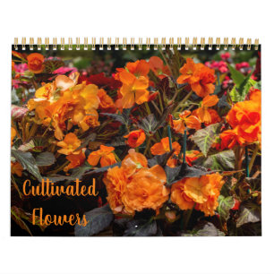 Kalender kultureller Blume