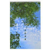 Kalender lang - In den Baumkronen -  (Titelbild)