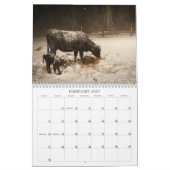 Kalender lebendes Cowtown 2013 (Feb 2027)