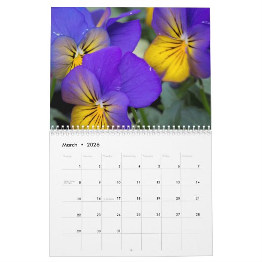Kalender ~ Leidenschaft für Stiefmütterchen #2 (Mär 2026)