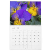 Kalender ~ Leidenschaft für Stiefmütterchen #2 (Mär 2027)