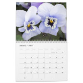 Kalender ~ Leidenschaft für Stiefmütterchen #2 (Jan 2027)
