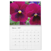 Kalender ~ Leidenschaft für Stiefmütterchen #2 (Feb 2027)