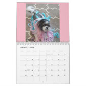 Kalender Lhasas Apso Rettungs-2018 (Jan 2026)