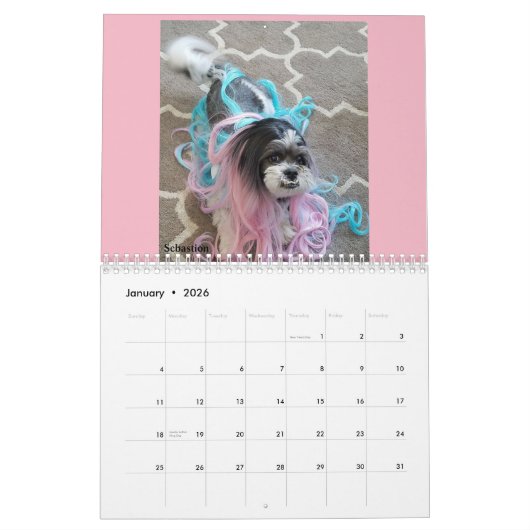 Kalender Lhasas Apso Rettungs-2018 (Jan 2026)