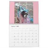 Kalender Lhasas Apso Rettungs-2018 (Jan 2027)