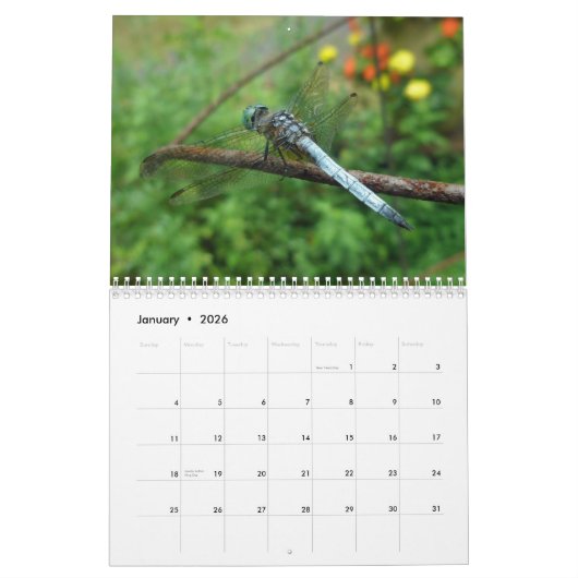 Kalender - Libellen und Damselfliegen (Jan 2026)