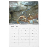 Kalender - Libellen und Damselfliegen (Mär 2027)