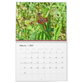 Kalender - Libellen und Damselfliegen (Feb 2027)