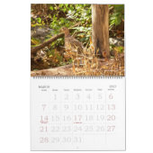 Kalender - Lieblingsvögel (Mär 2027)