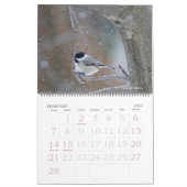 Kalender - Lieblingsvögel (Feb 2027)