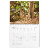 Kalender - Lieblingsvögel (Mär 2026)