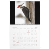 Kalender - Lieblingsvögel (Jan 2026)