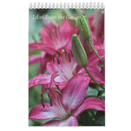 Kalender Lilien aus dem Garten