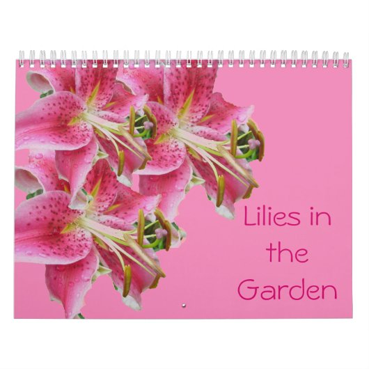 Kalender - Lilien im Garten (Titelbild)