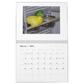 Kalender Linnie Parakeet-2014 (Feb 2026)