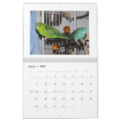 Kalender Linnie Parakeet-2014 (Mär 2027)