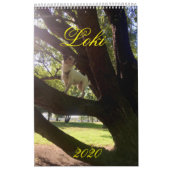 Kalender Loki 2020 (Titelbild)