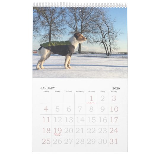 Kalender Loki 2020 (Jan 2026)