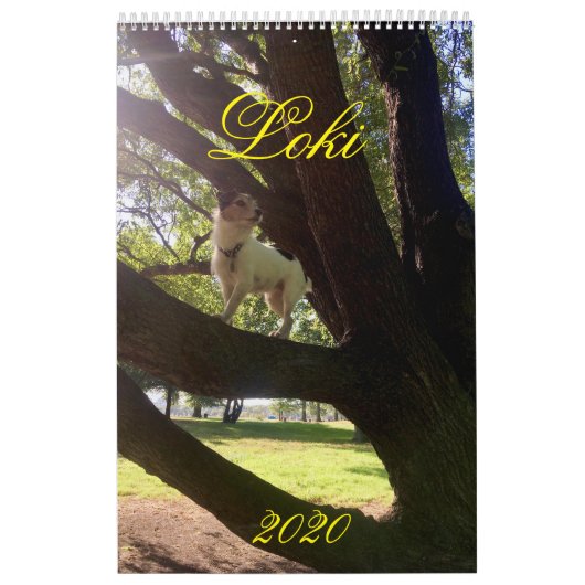 Kalender Loki 2020 (Titelbild)