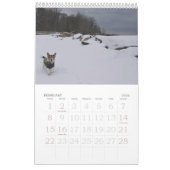 Kalender Loki 2020 (Feb 2026)