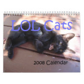 Kalender LOL Katzen-2008 (Titelbild)
