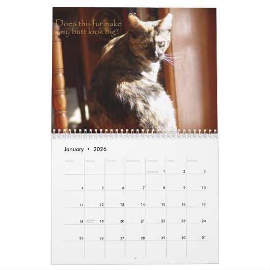 Kalender LOL Katzen-2008 (Jan 2026)