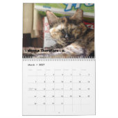 Kalender LOL Katzen-2008 (Mär 2027)