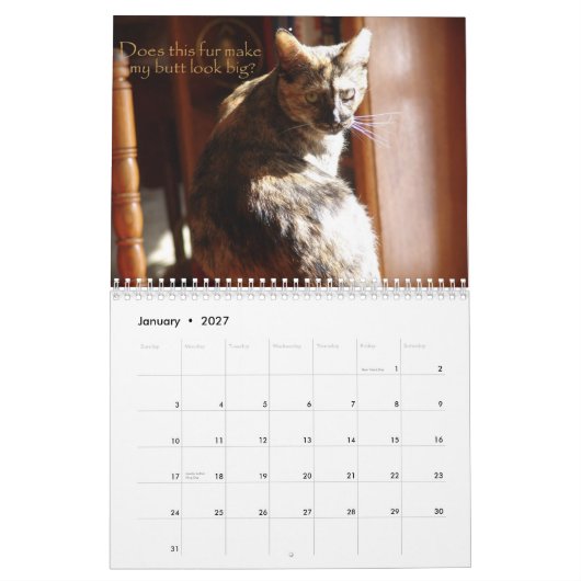 Kalender LOL Katzen-2008 (Jan 2027)
