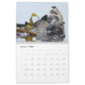 Kalender, Meeresflora und -fauna, Kalifornien Kalender (Jan 2026)