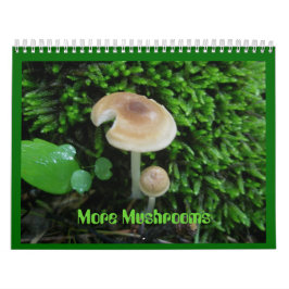 Kalender - Mehr Pilze