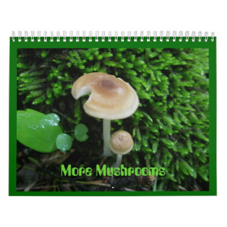 Kalender - Mehr Pilze