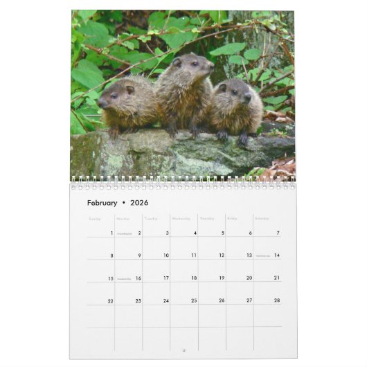 Kalender - meistens braun (Feb 2026)