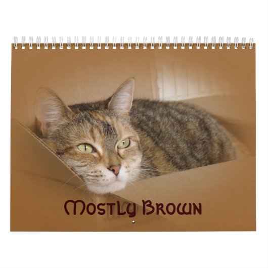 Kalender - meistens braun (Titelbild)