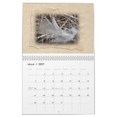 Kalender - meistens braun (Mär 2027)