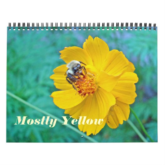 Kalender - meistens gelb (Titelbild)