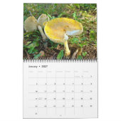 Kalender - meistens gelb (Jan 2027)