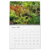 Kalender - meistens grün (Jan 2027)