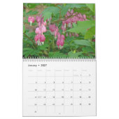 Kalender - meistens Lila und rosa (Jan 2027)