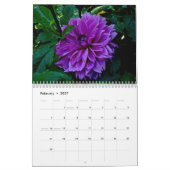 Kalender - meistens Lila und rosa (Feb 2027)