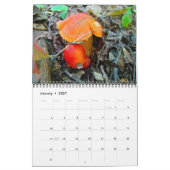 Kalender - meistens Orange (Jan 2027)