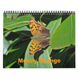 Kalender - meistens Orange
