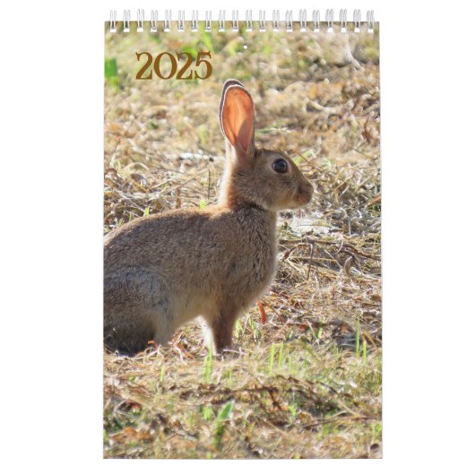 Kalender met afbeeldingen van de natuur (Titelbild)